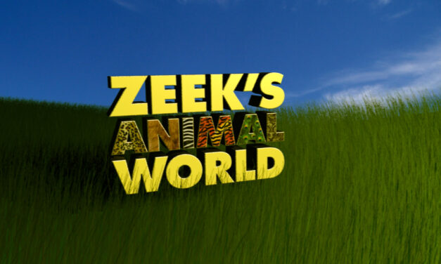 Zeek’s Animal World – Switch International